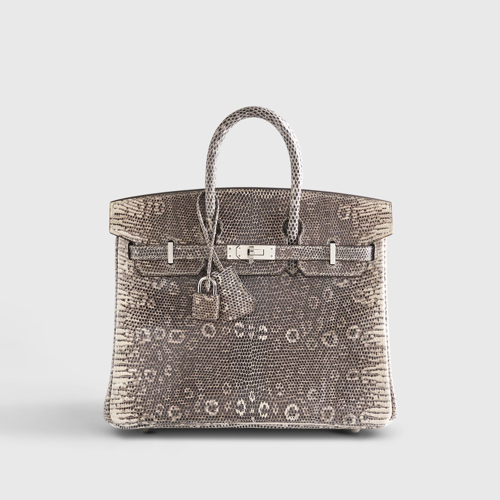 Hermès Birkin 25 Lizard Ombre Palladium Hardware
