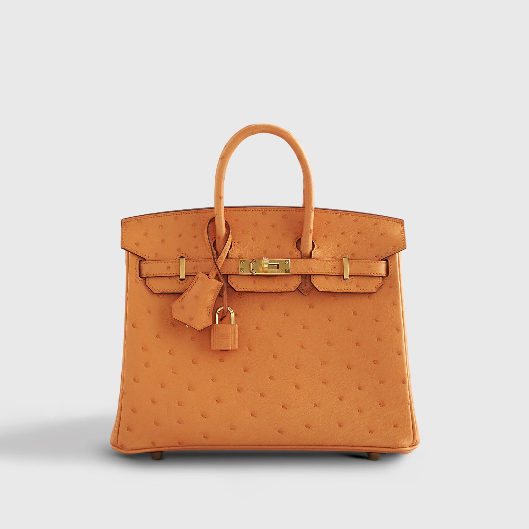 Hermès Birkin 25 Ostrich Apricot Gold Hardware - eliteUSA
