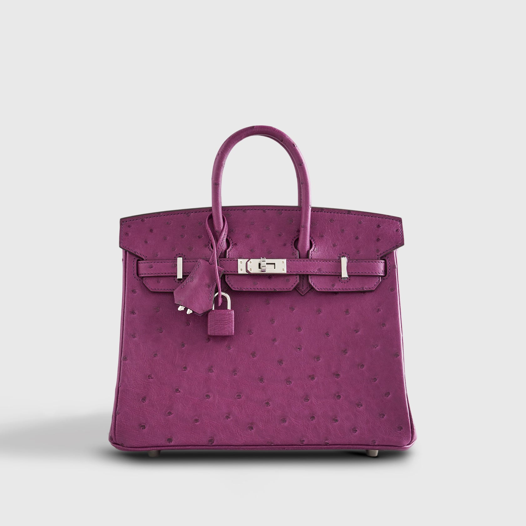 Hermès Birkin 25 Ostrich Anemone Palladium Hardware