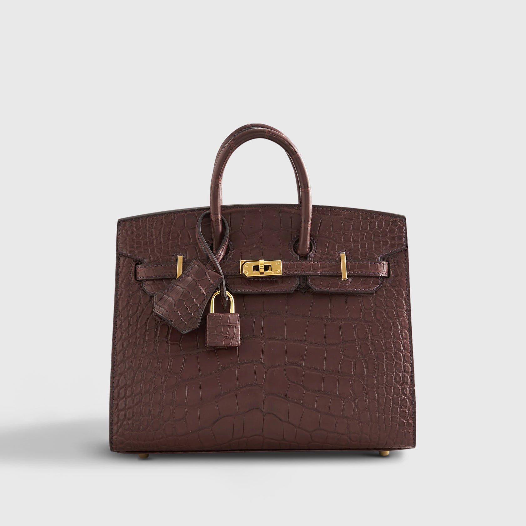 Hermès Birkin 20 Alligator Havane Gold Hardware Matte - eliteUSA