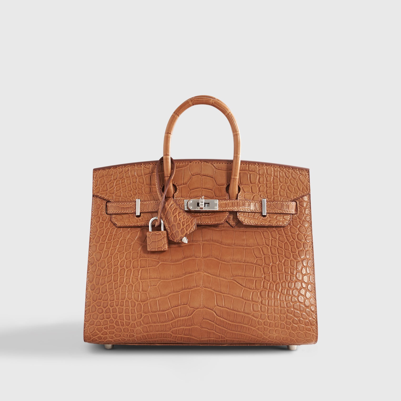 Hermès Birkin 25 Alligator Gold Palladium Hardware Matte Sellier - eliteUSA