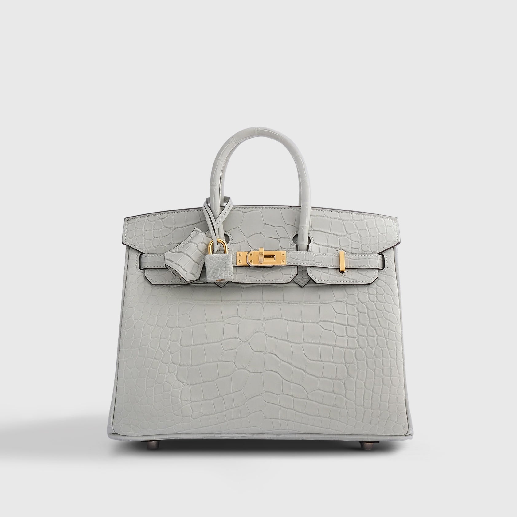 Hermès Birkin 25 Alligator Gris Neve Gold Hardware Matte - eliteUSA
