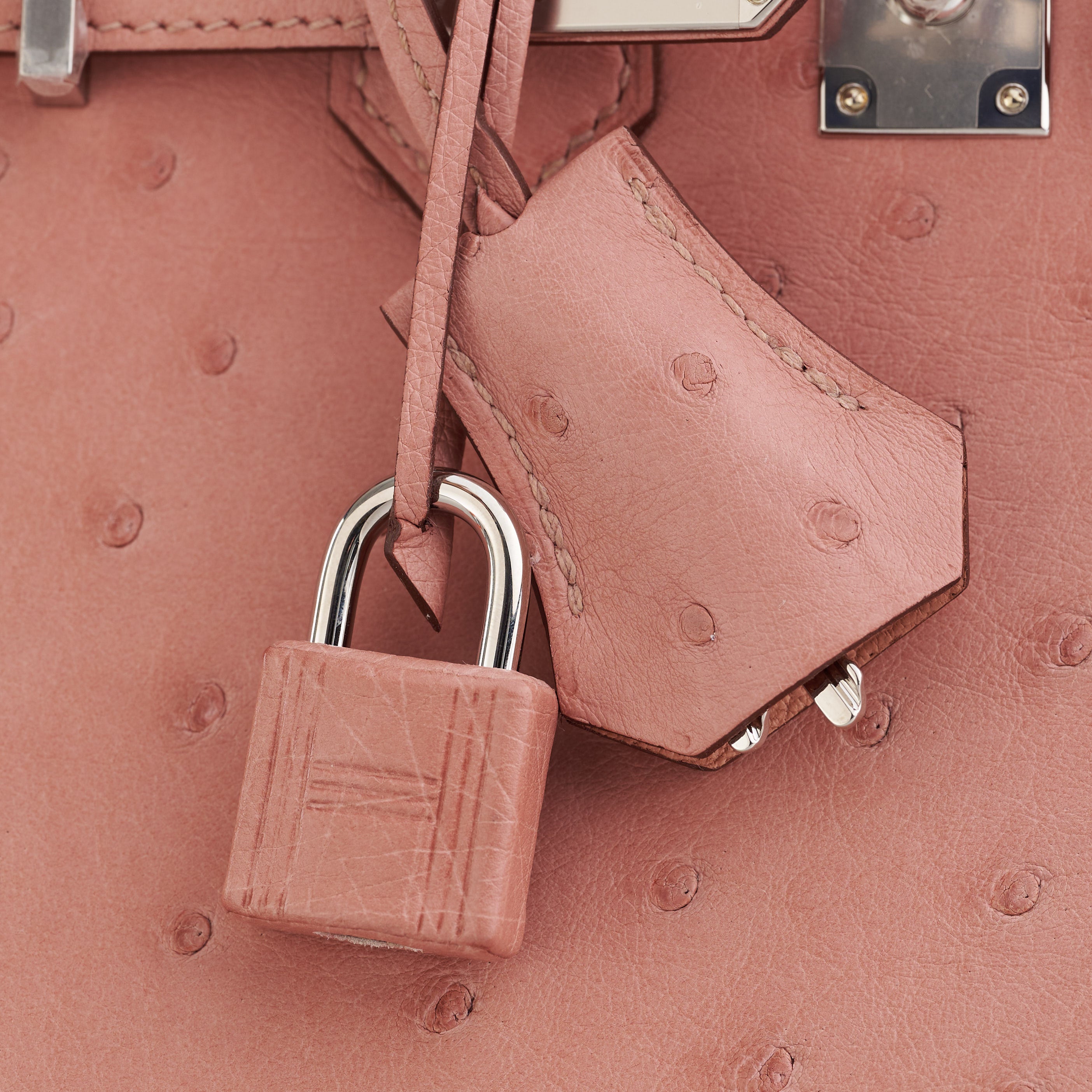 Hermès Birkin 25 Ostrich Terre Cuite Palladium Hardware - eliteUSA