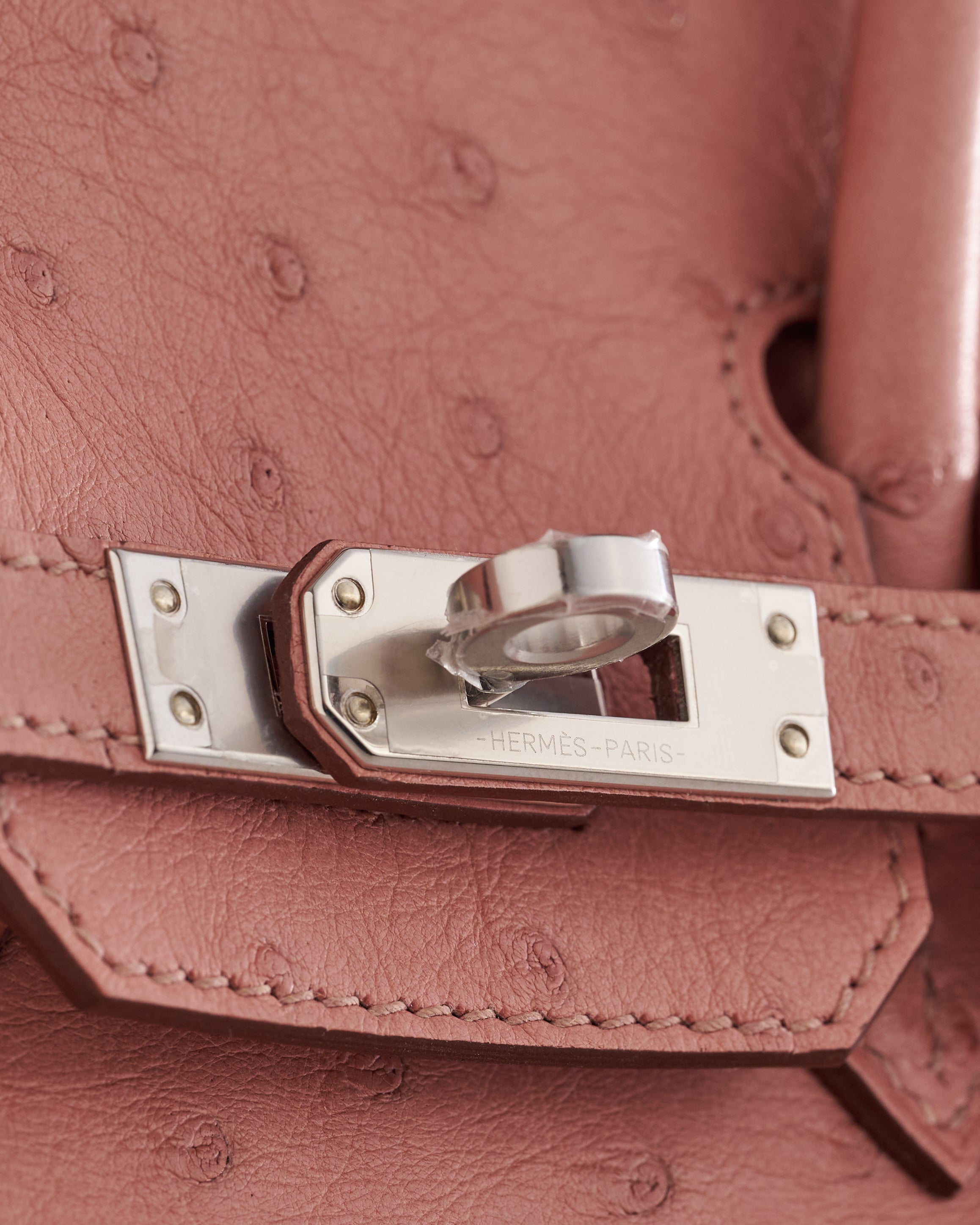 Hermès Birkin 25 Ostrich Terre Cuite Palladium Hardware - eliteUSA