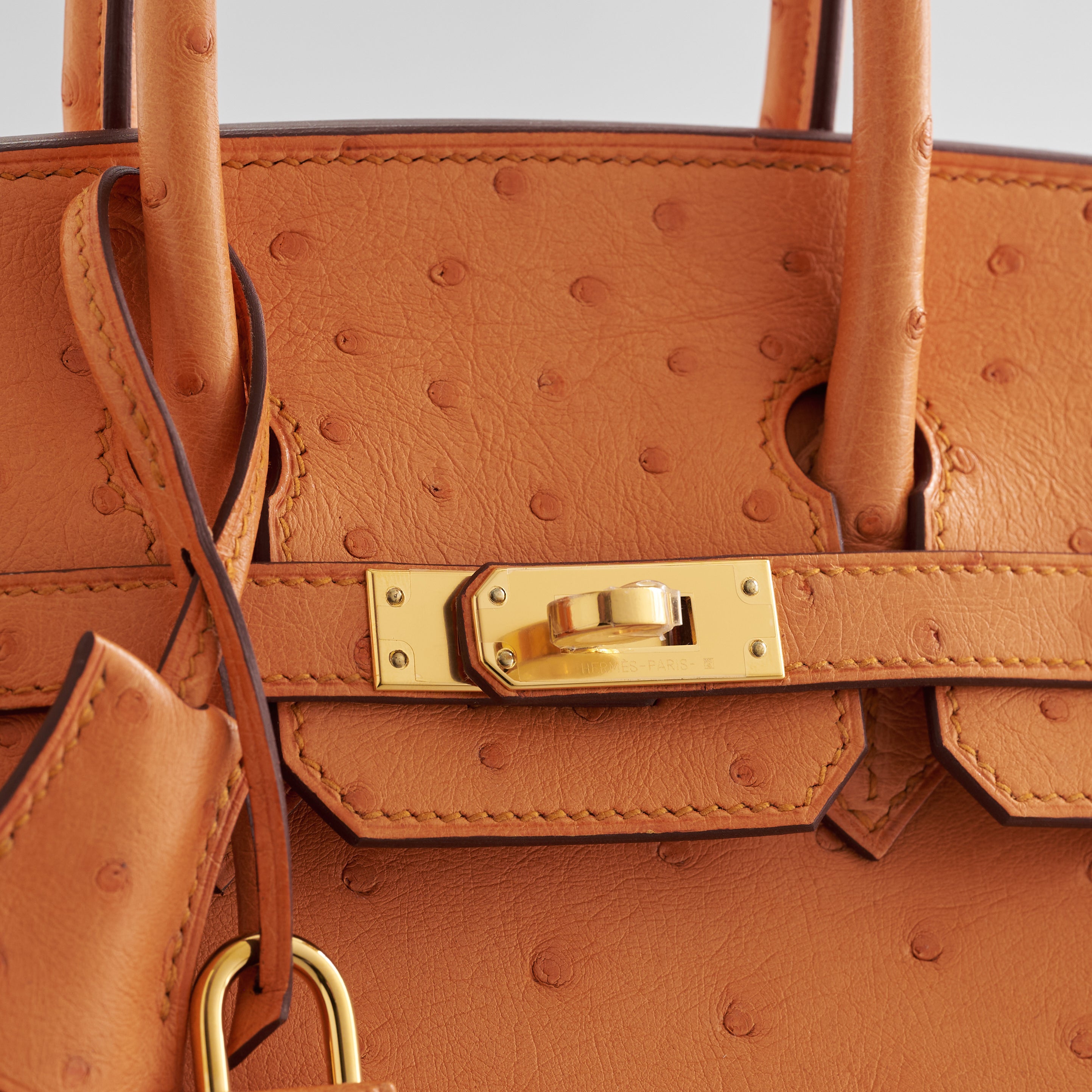 Hermès Birkin 25 Ostrich Apricot Gold Hardware - eliteUSA