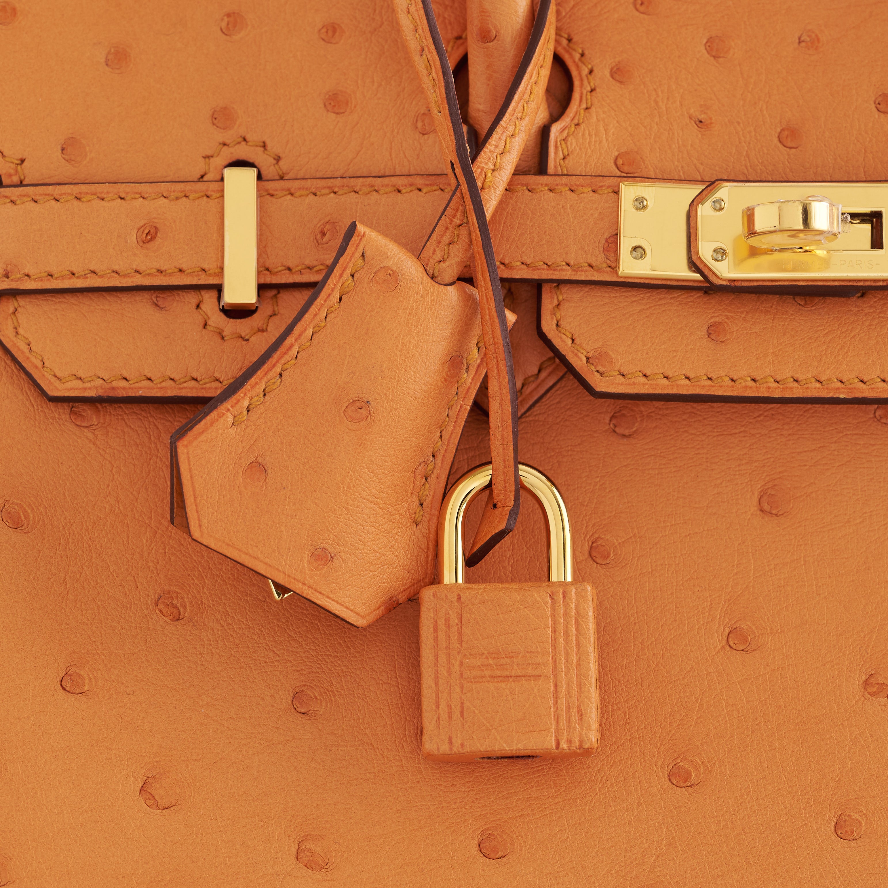 Hermès Birkin 25 Ostrich Apricot Gold Hardware - eliteUSA