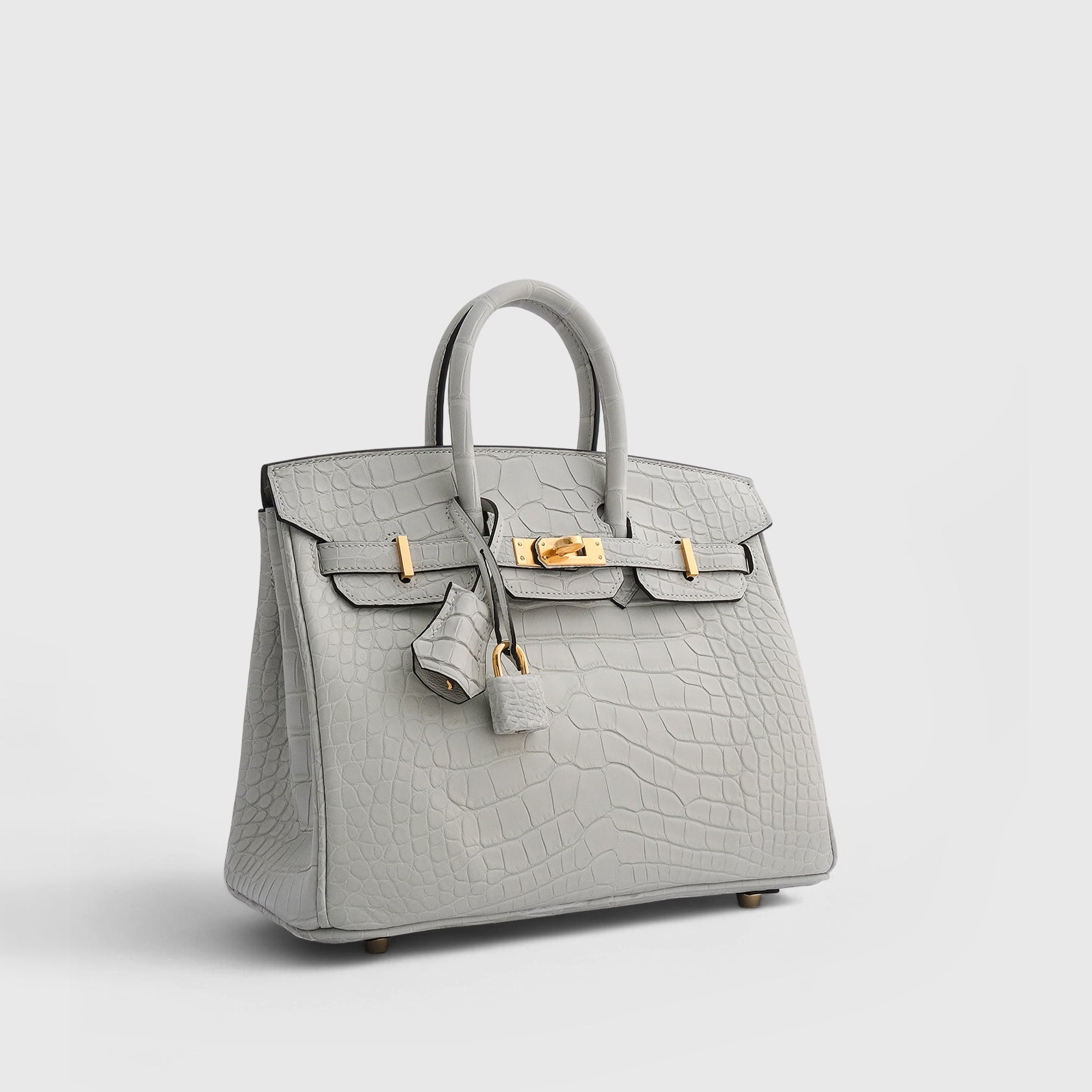 Hermès Birkin 25 Alligator Gris Neve Gold Hardware Matte - eliteUSA