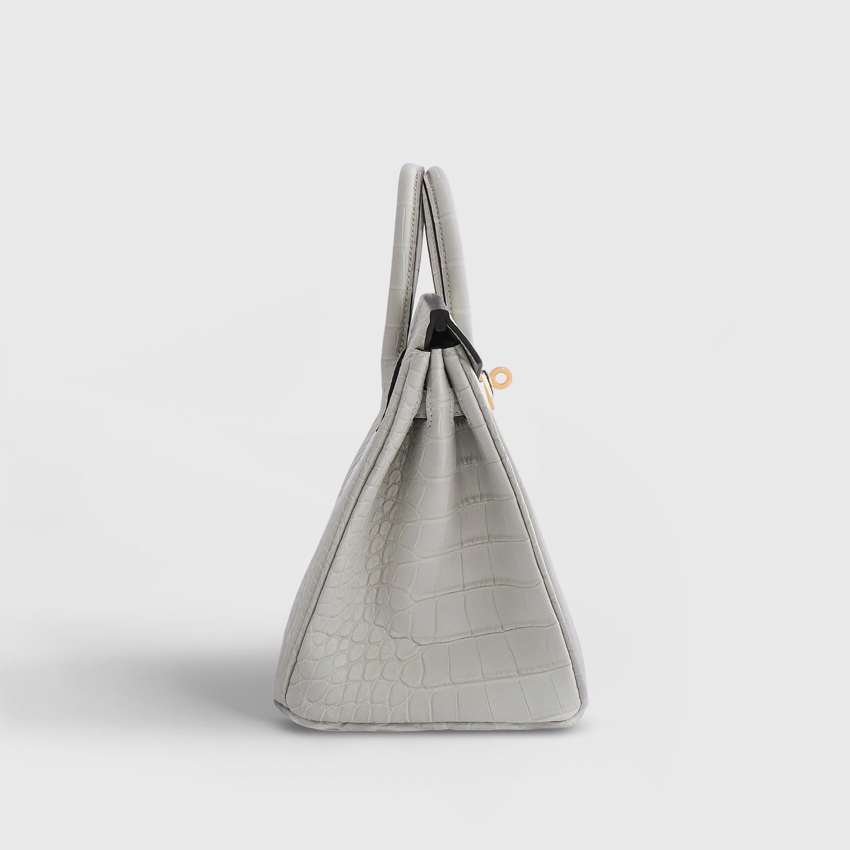 Hermès Birkin 25 Alligator Gris Neve Gold Hardware Matte - eliteUSA