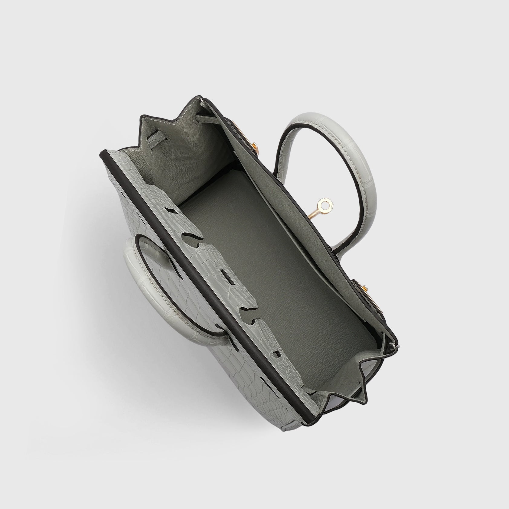 Hermès Birkin 25 Alligator Gris Neve Gold Hardware Matte - eliteUSA