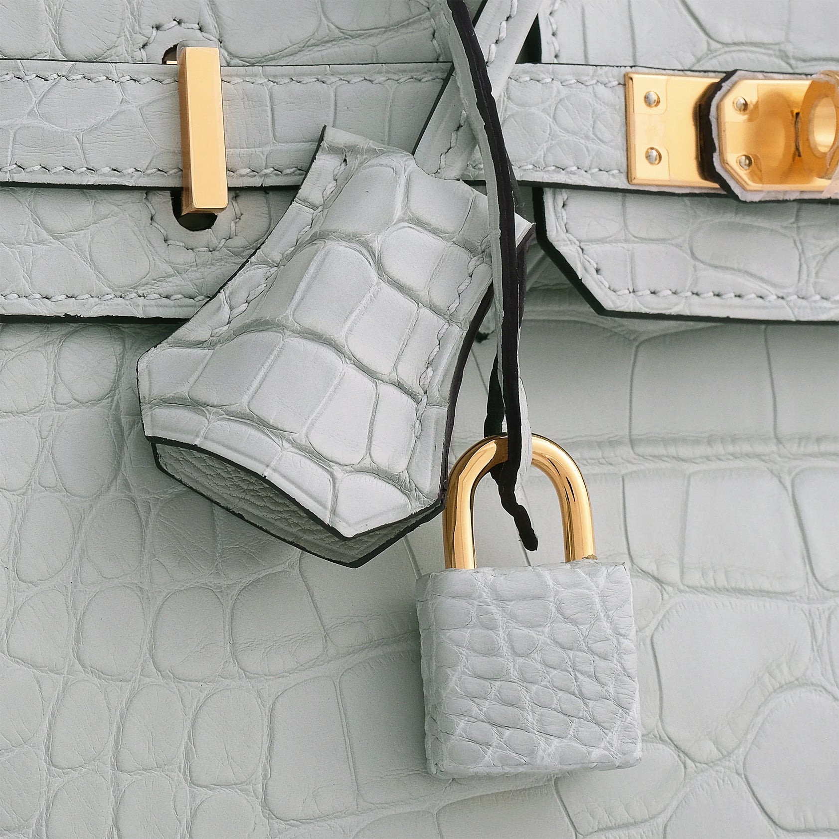 Hermès Birkin 25 Alligator Gris Neve Gold Hardware Matte - eliteUSA