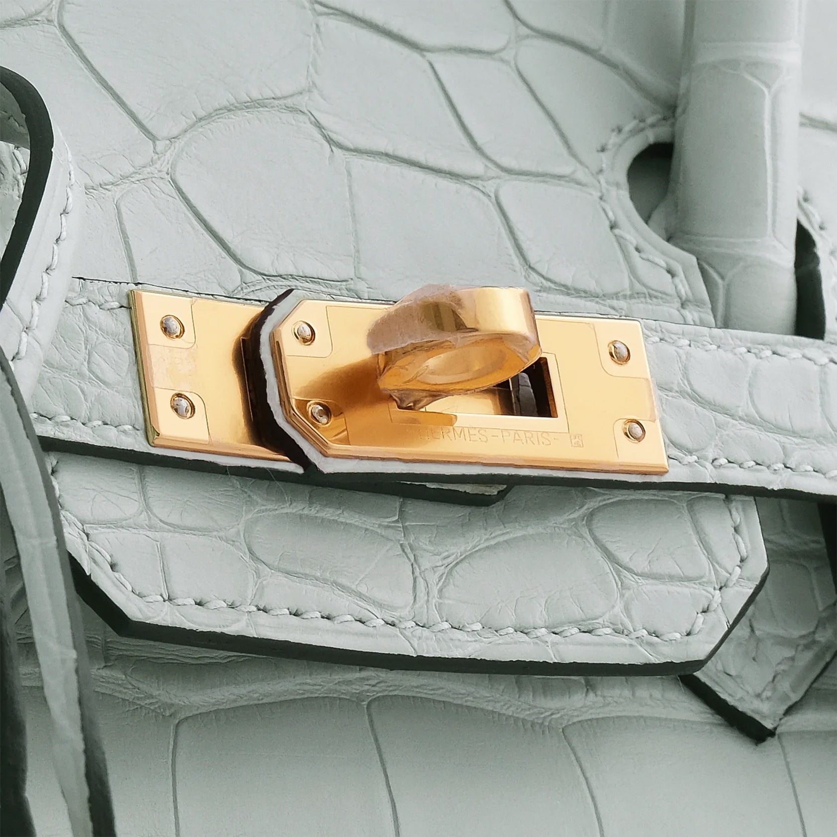 Hermès Birkin 25 Alligator Gris Neve Gold Hardware Matte - eliteUSA