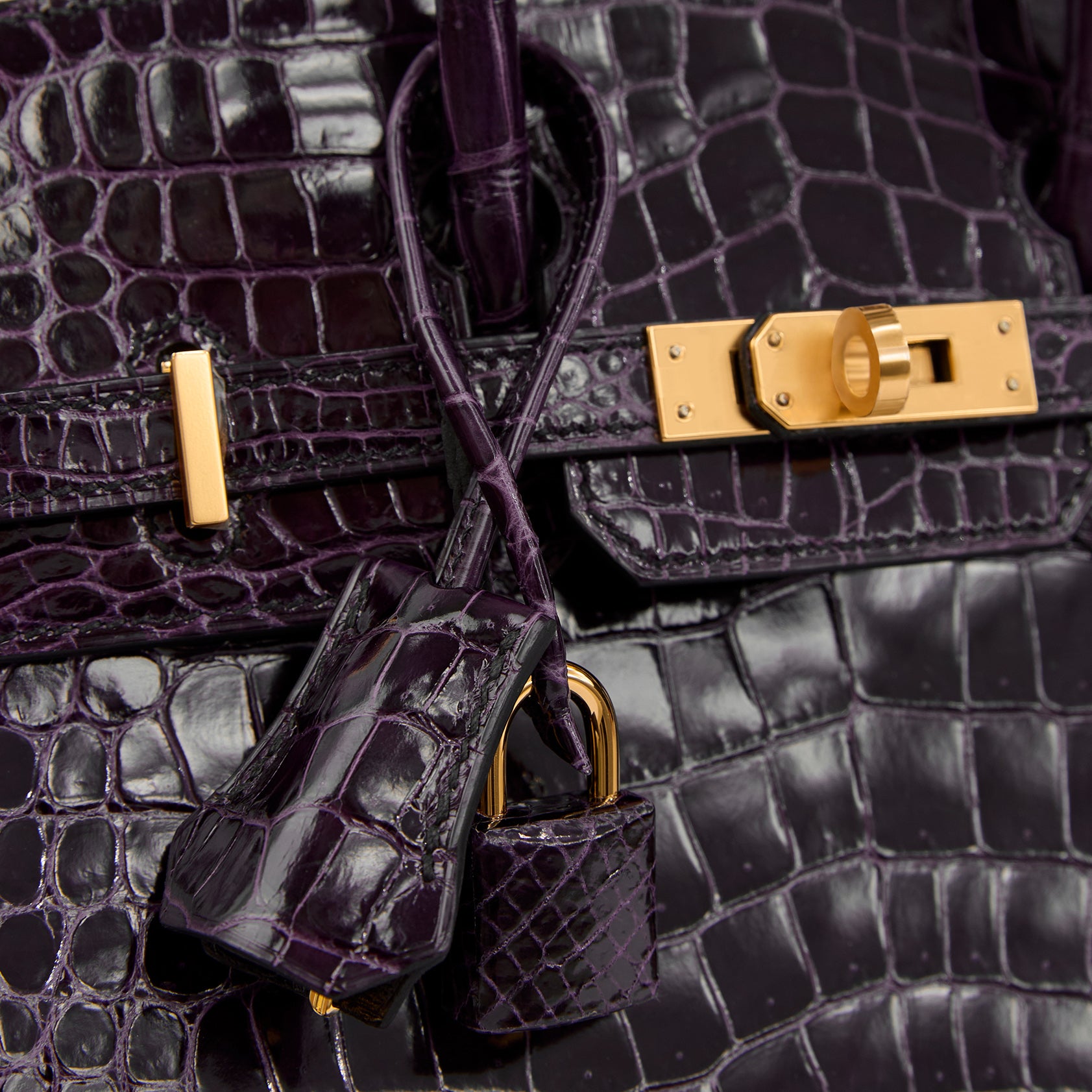 Hermès Birkin 25 Croc, Porosus Aubergine Nilo Shiny Gold Hardware