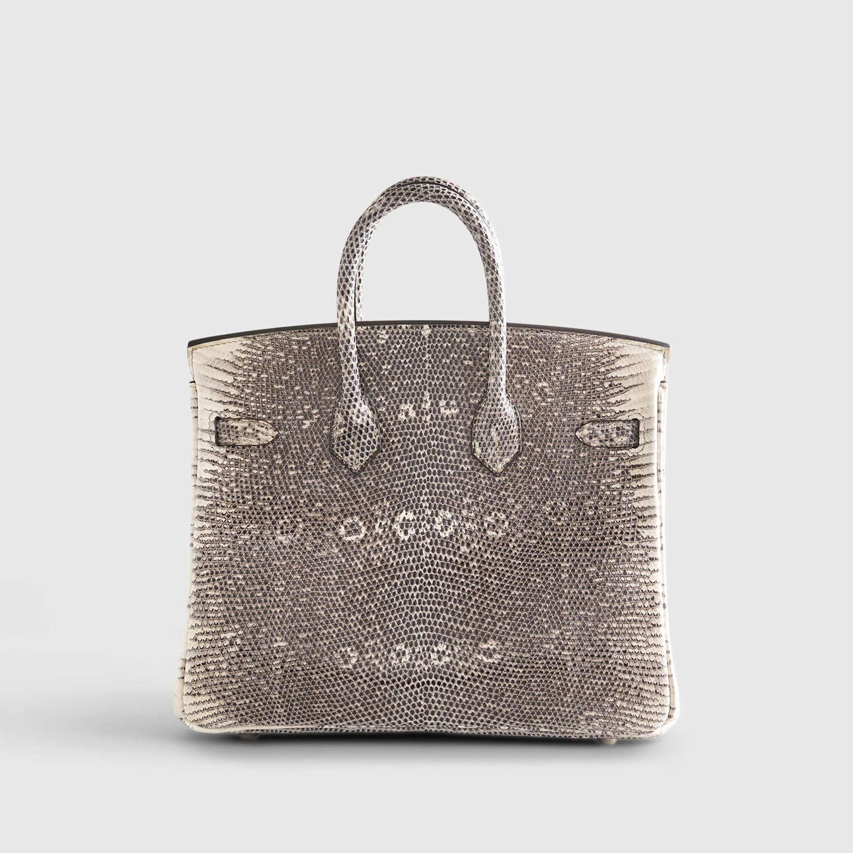 Hermès Birkin 25 Lizard Ombre Palladium Hardware