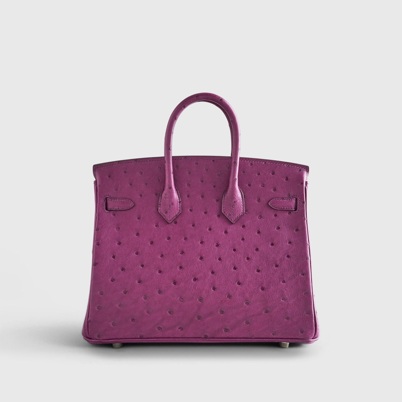 Hermès Birkin 25 Ostrich Anemone Palladium Hardware