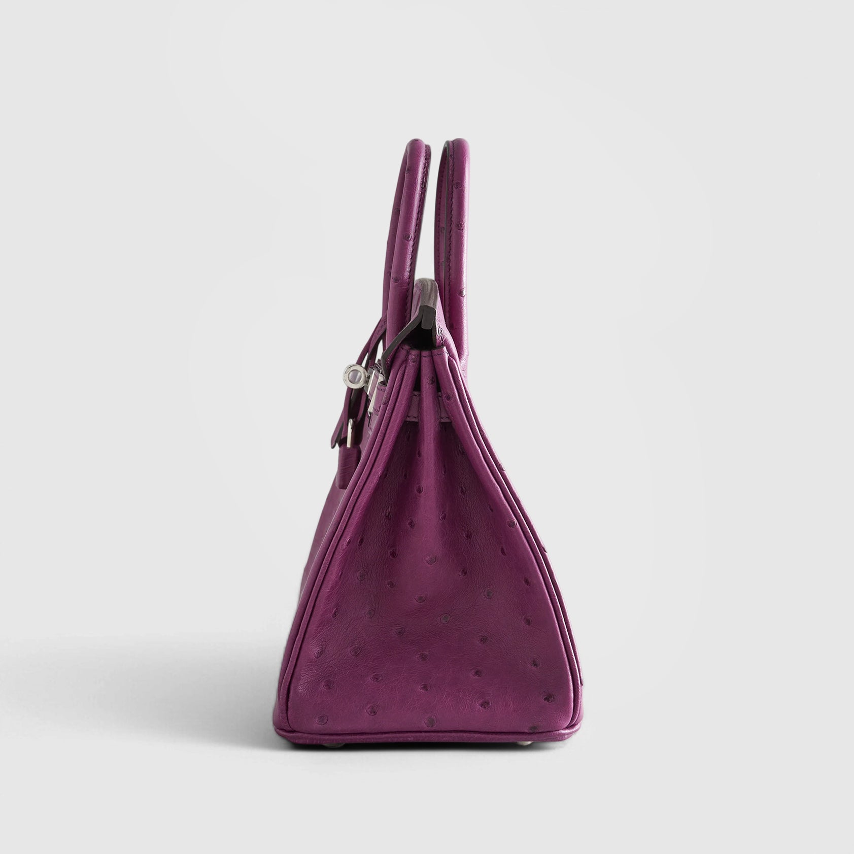 Hermès Birkin 25 Ostrich Anemone Palladium Hardware