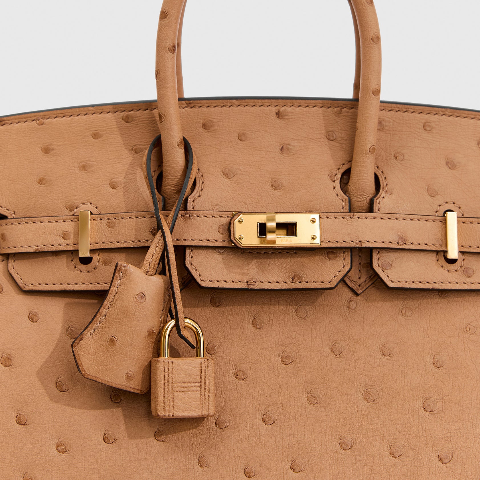 Hermès Birkin 25 Ostrich Chai Sellier Gold Hardware