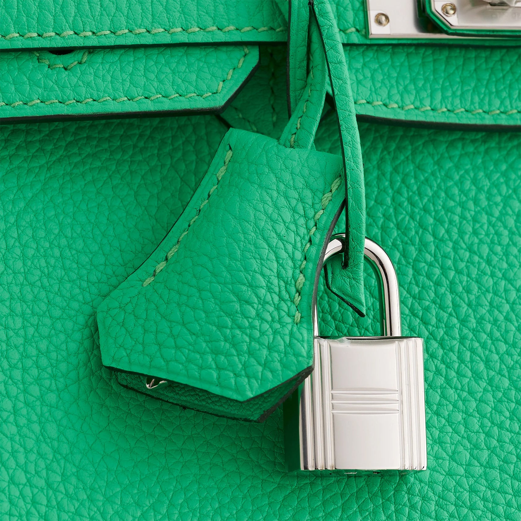 Hermès Birkin 25 Togo Vert Comics Palladium Hardware - eliteUSA