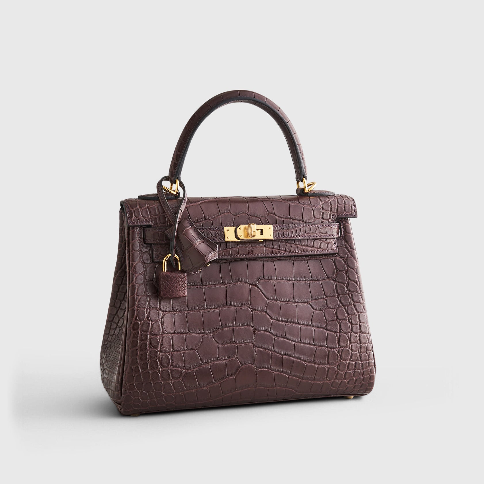 Hermès Kelly 25 Alligator Rouge Sellier Matte Gold Hardware
