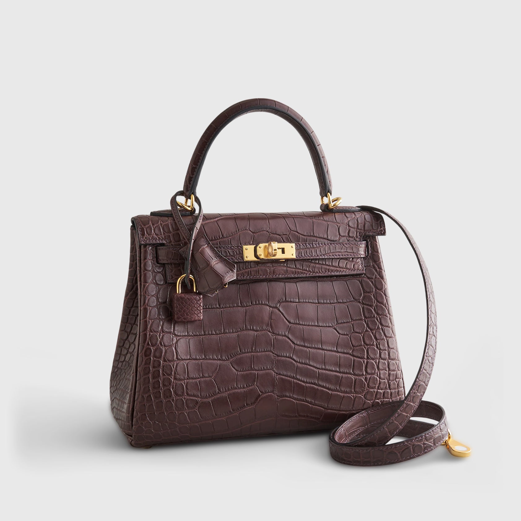 Hermès Kelly 25 Alligator Rouge Sellier Matte Gold Hardware