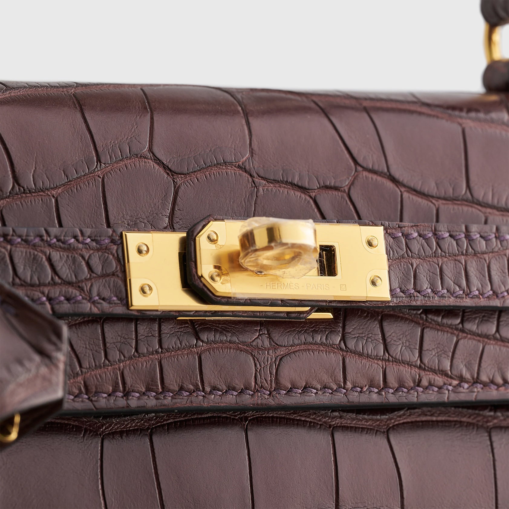 Hermès Kelly 25 Alligator Rouge Sellier Matte Gold Hardware