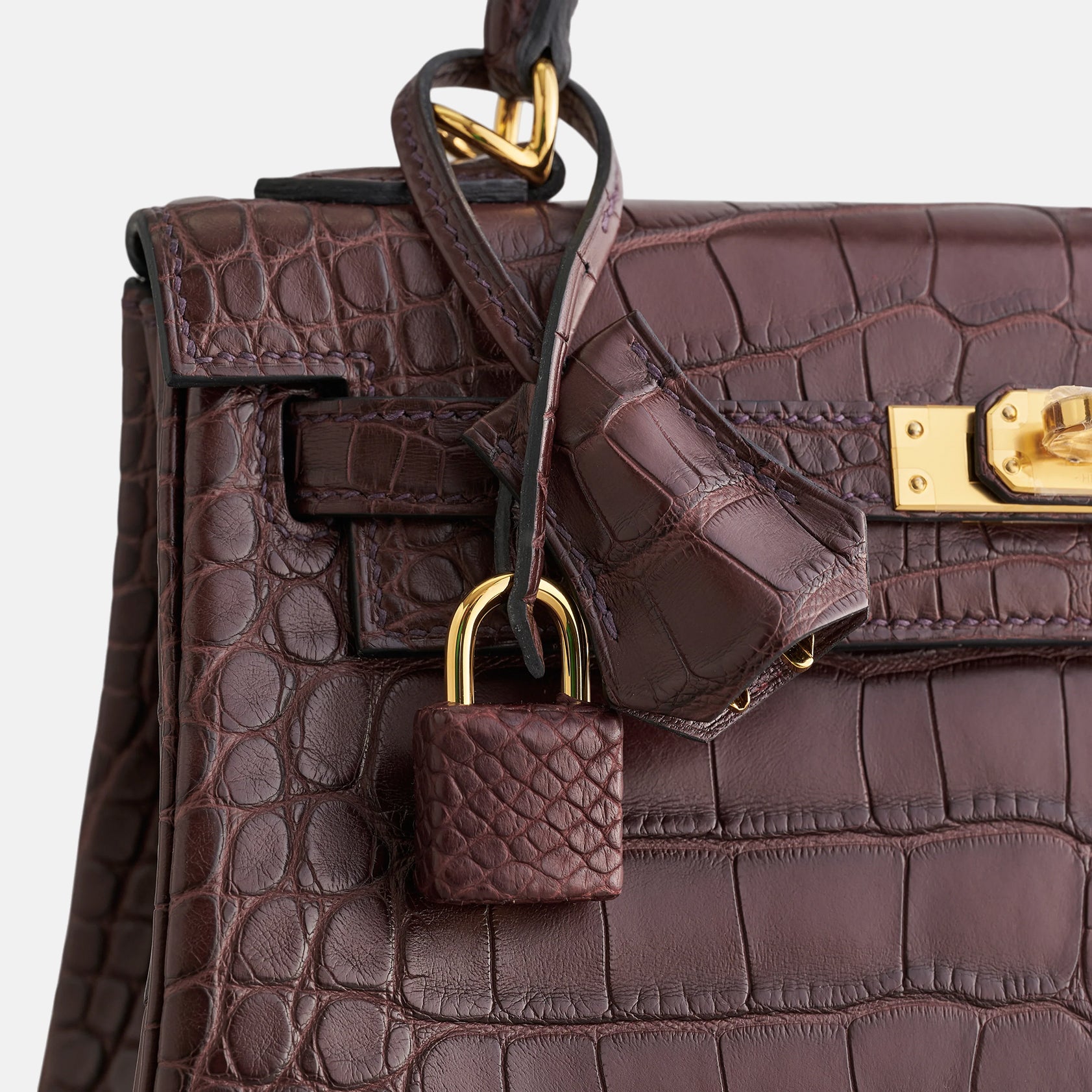 Hermès Kelly 25 Alligator Rouge Sellier Matte Gold Hardware