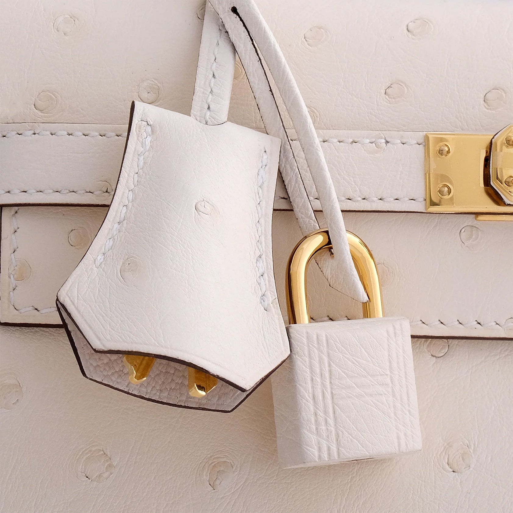 Hermès Kelly 25 Ostrich Nata Gold Hardware - eliteUSA