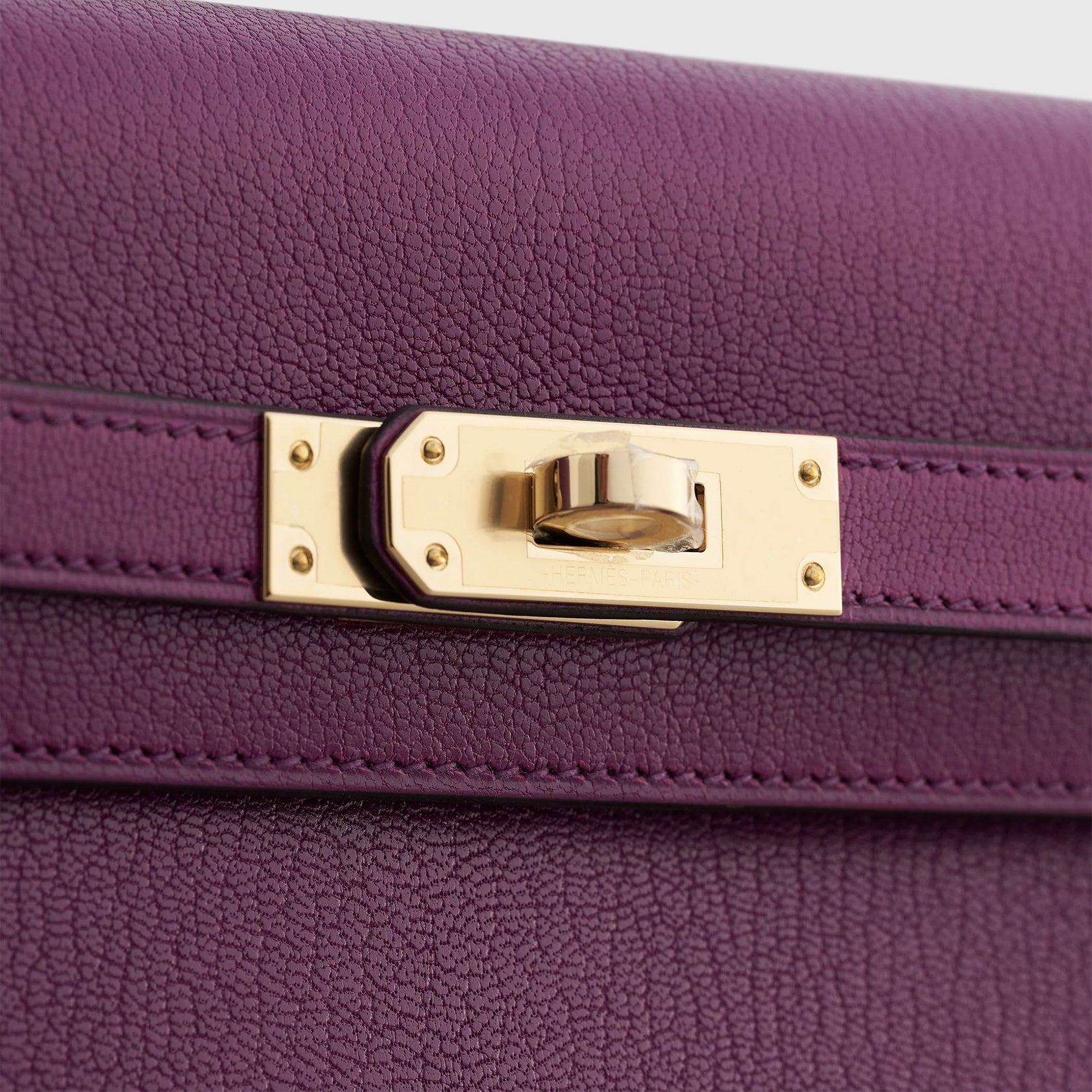 Hermès Kelly Elan 27 Chamkilight Chevre Anemone Permabrass Hardware