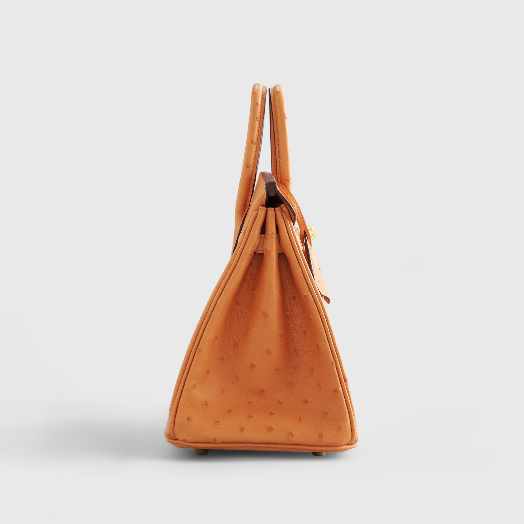 Hermès Birkin 25 Ostrich Apricot Gold Hardware - eliteUSA