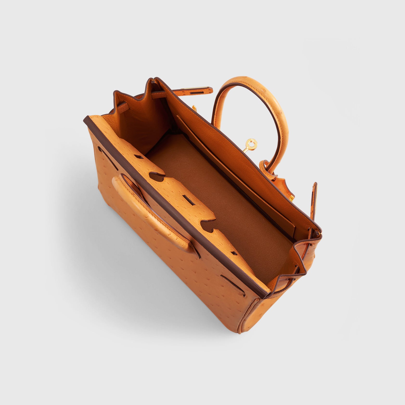 Hermès Birkin 25 Ostrich Apricot Gold Hardware - eliteUSA