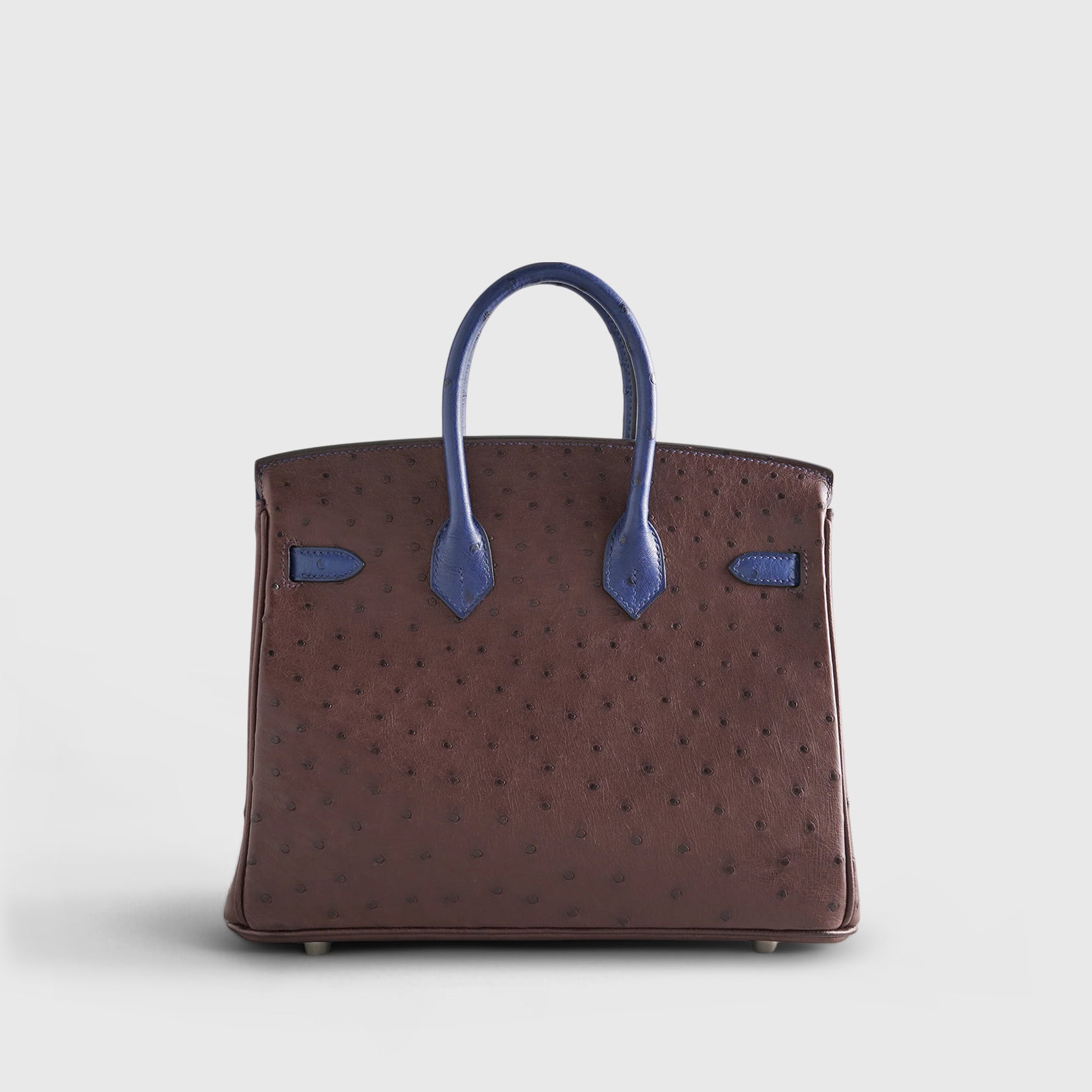 Hermès Birkin 25 Ostrich Rouge Sellier/Blue Iris Pallidum Hardware