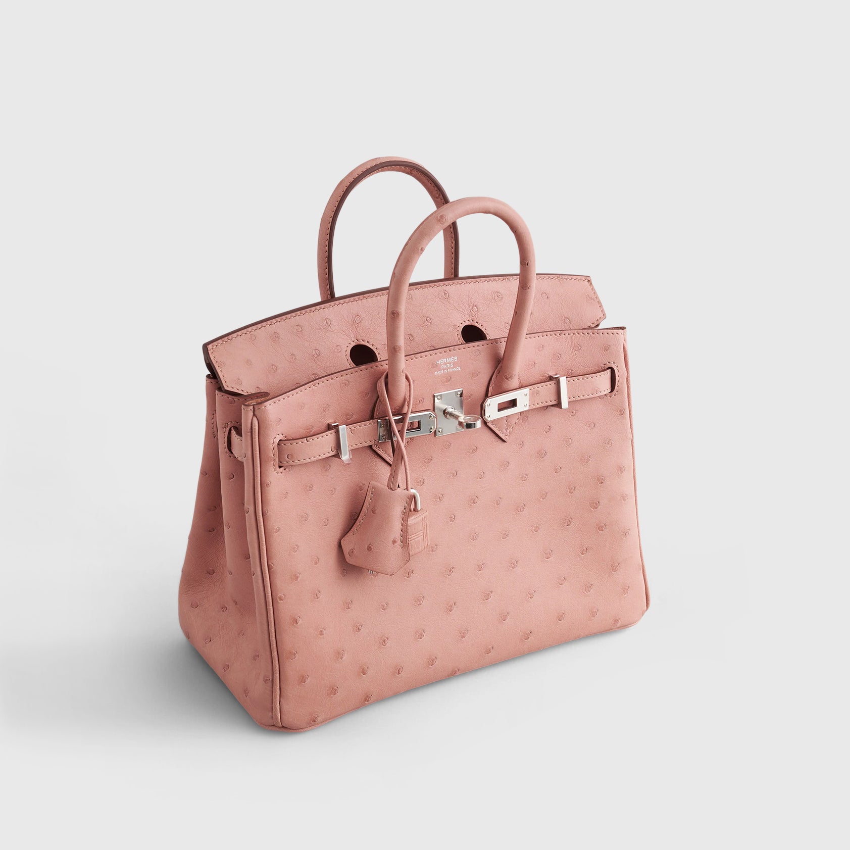 Hermès Birkin 25 Ostrich Terre Cuite Palladium Hardware - eliteUSA