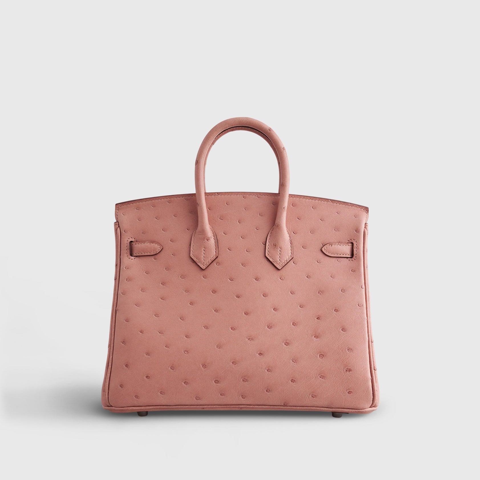 Hermès Birkin 25 Ostrich Terre Cuite Palladium Hardware - eliteUSA