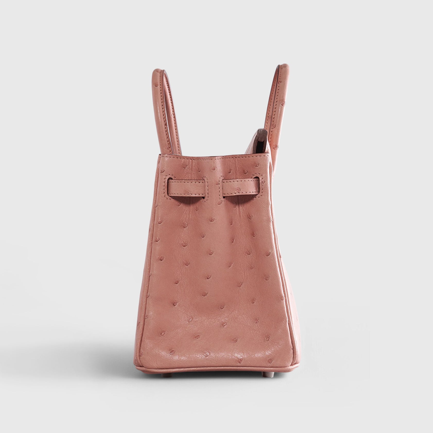 Hermès Birkin 25 Ostrich Terre Cuite Palladium Hardware - eliteUSA