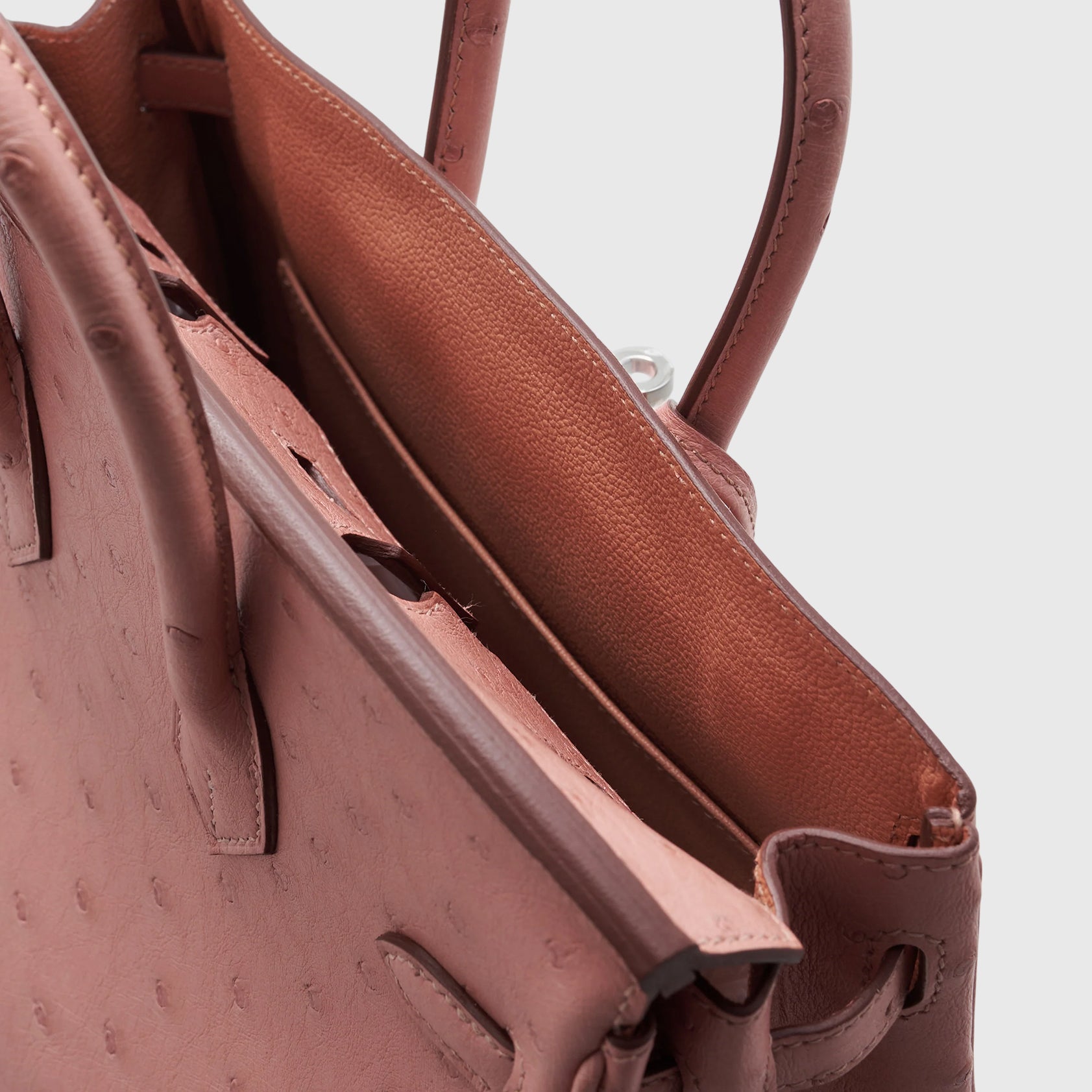 Hermès Birkin 25 Ostrich Terre Cuite Palladium Hardware - eliteUSA