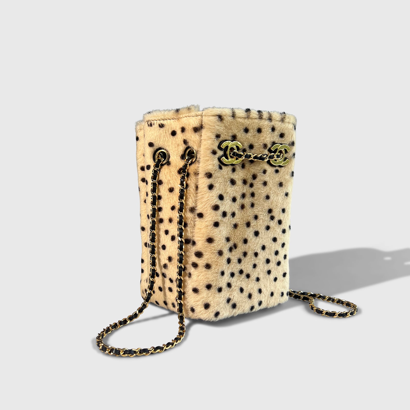 Chanel Pony Hair Bucket Bag