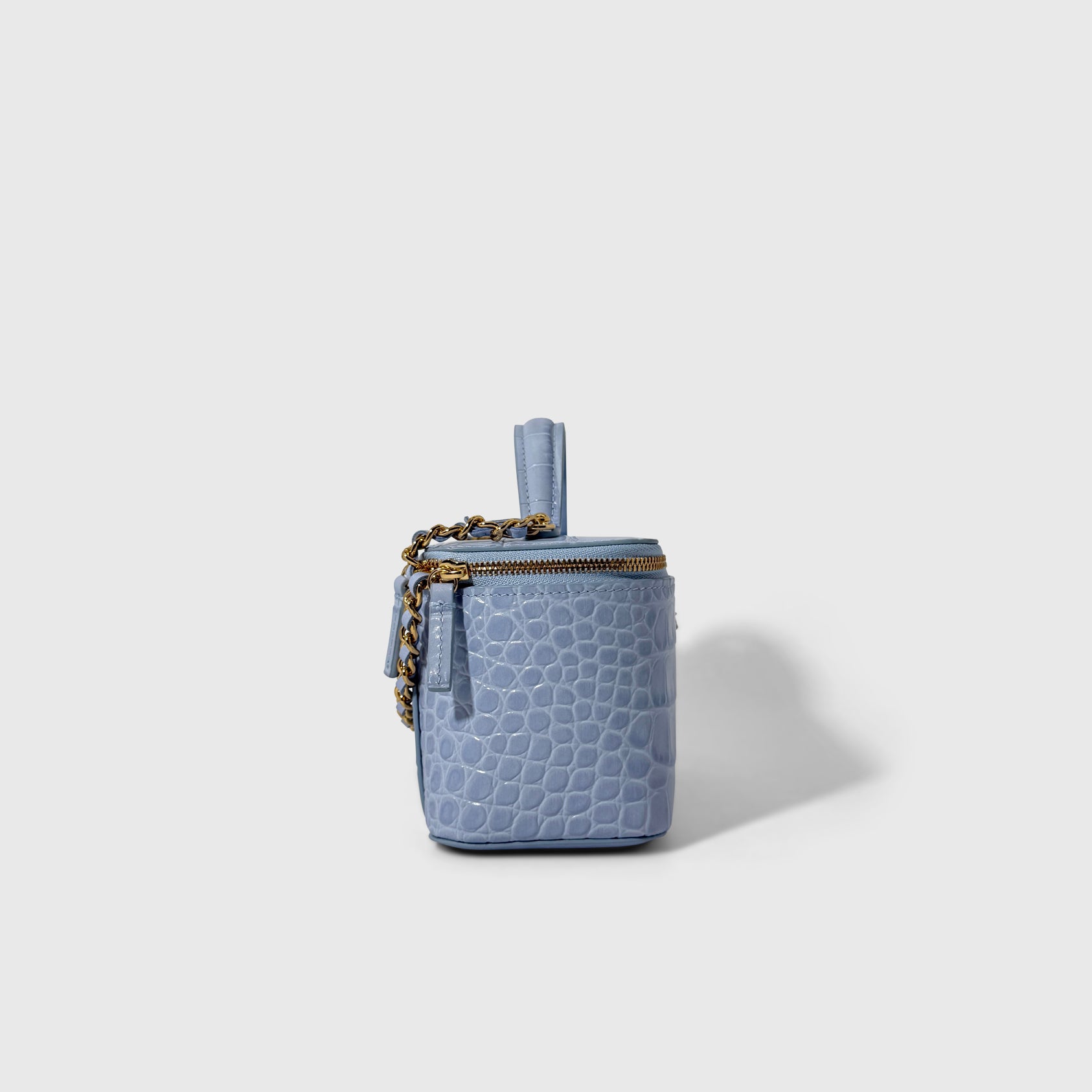 Chanel Croc Embossed Vanity