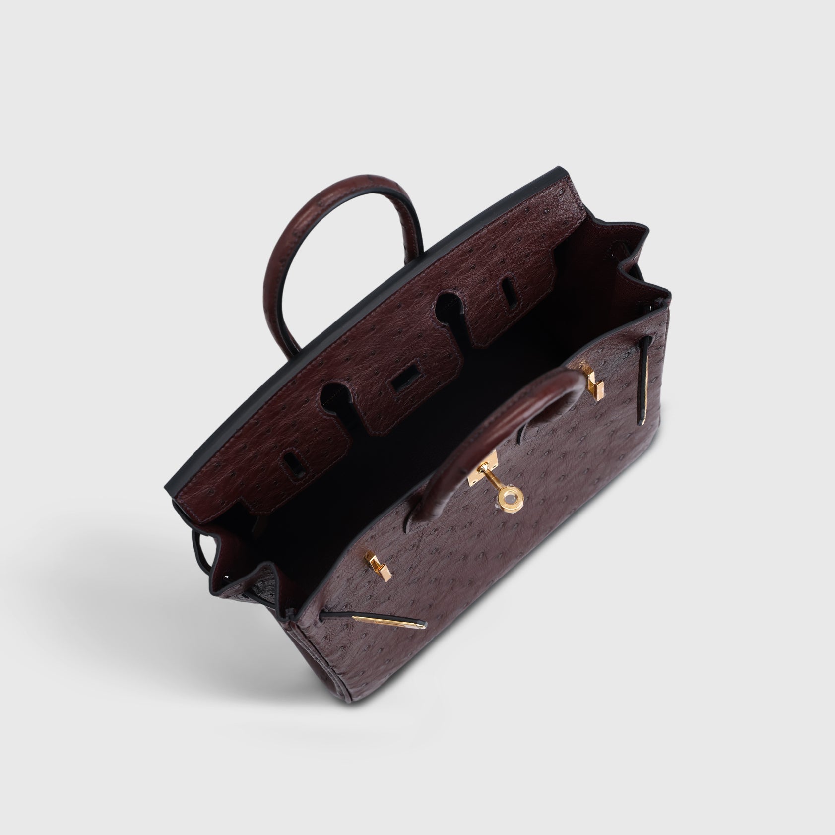 Hermès Birkin 25 Ostrich Rouge Sellier Gold Hardware