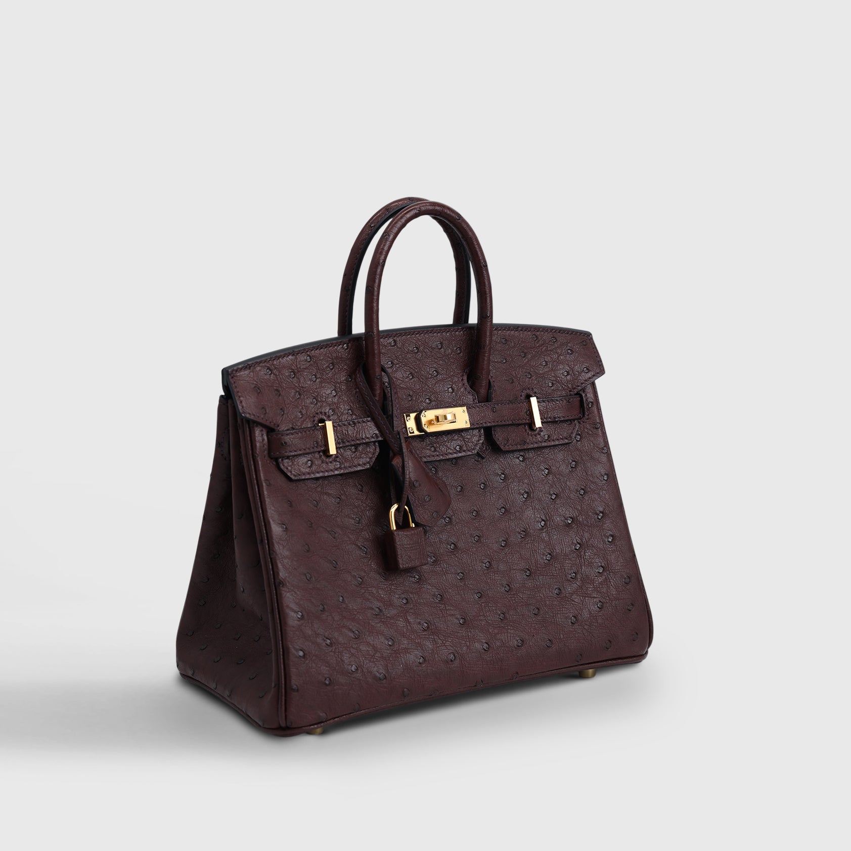 Hermès Birkin 25 Ostrich Rouge Sellier Gold Hardware