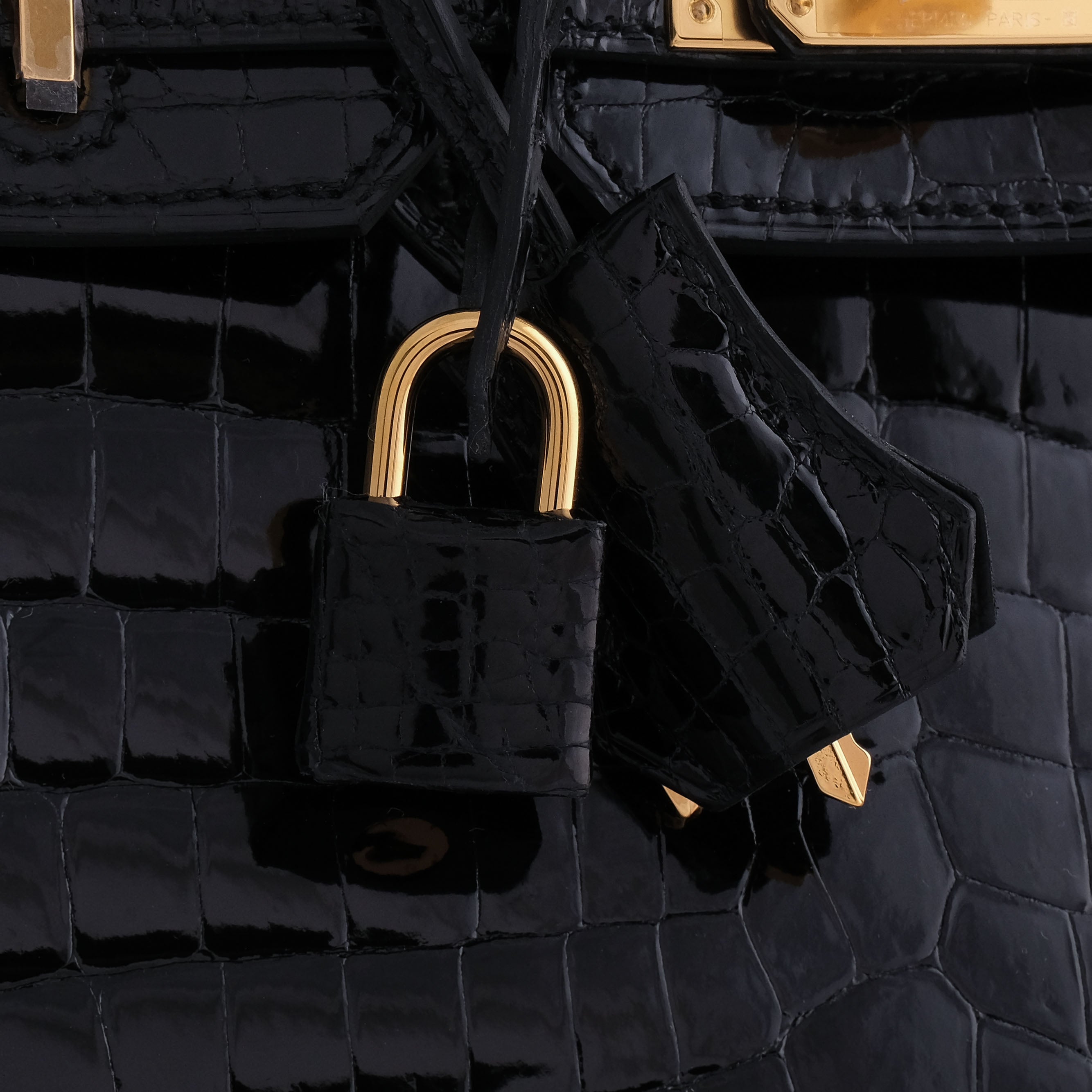 Hermès Birkin 25 Nilo Alligator Black Gold Hardware Shiny - eliteUSA 