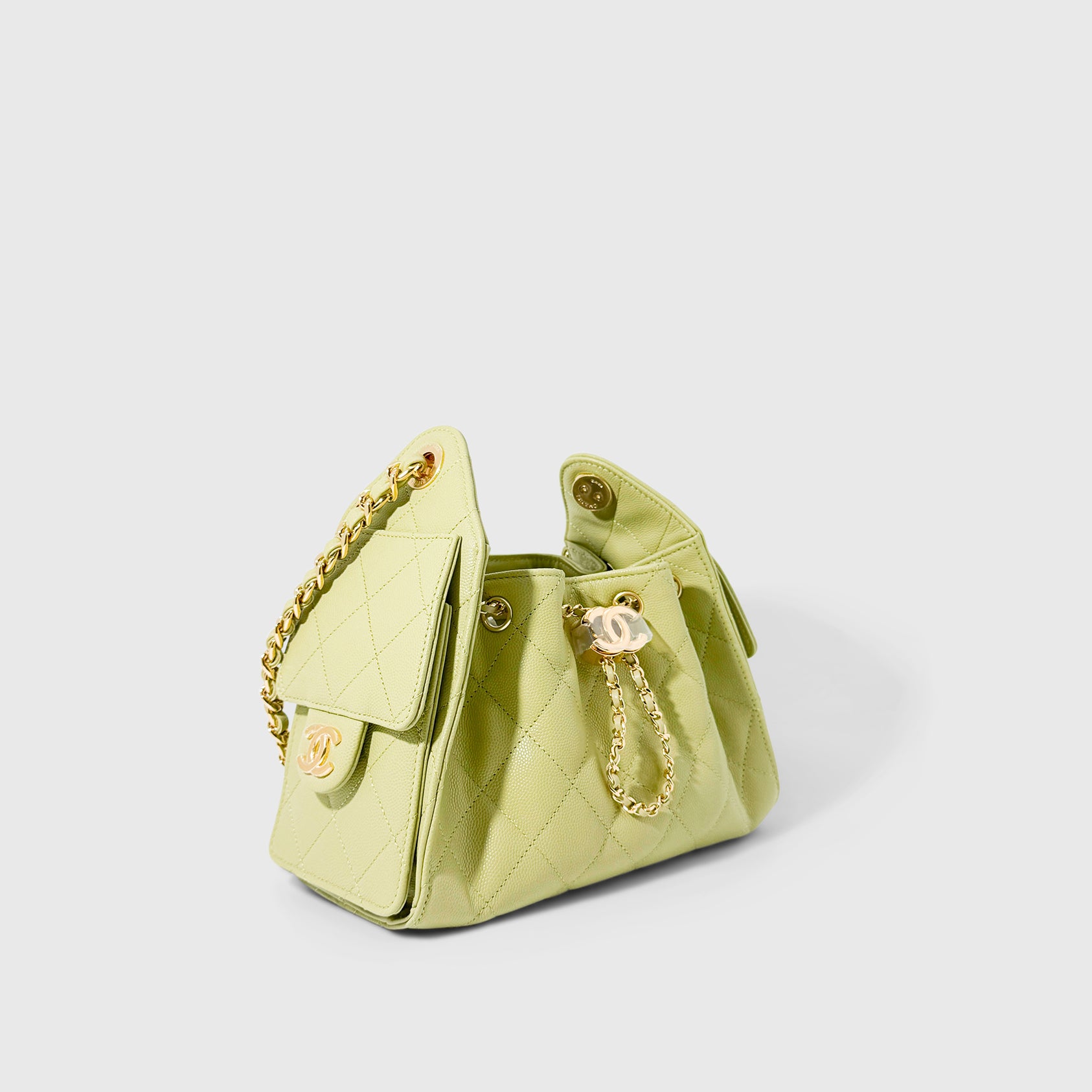 Chanel 25 Mini Hobo