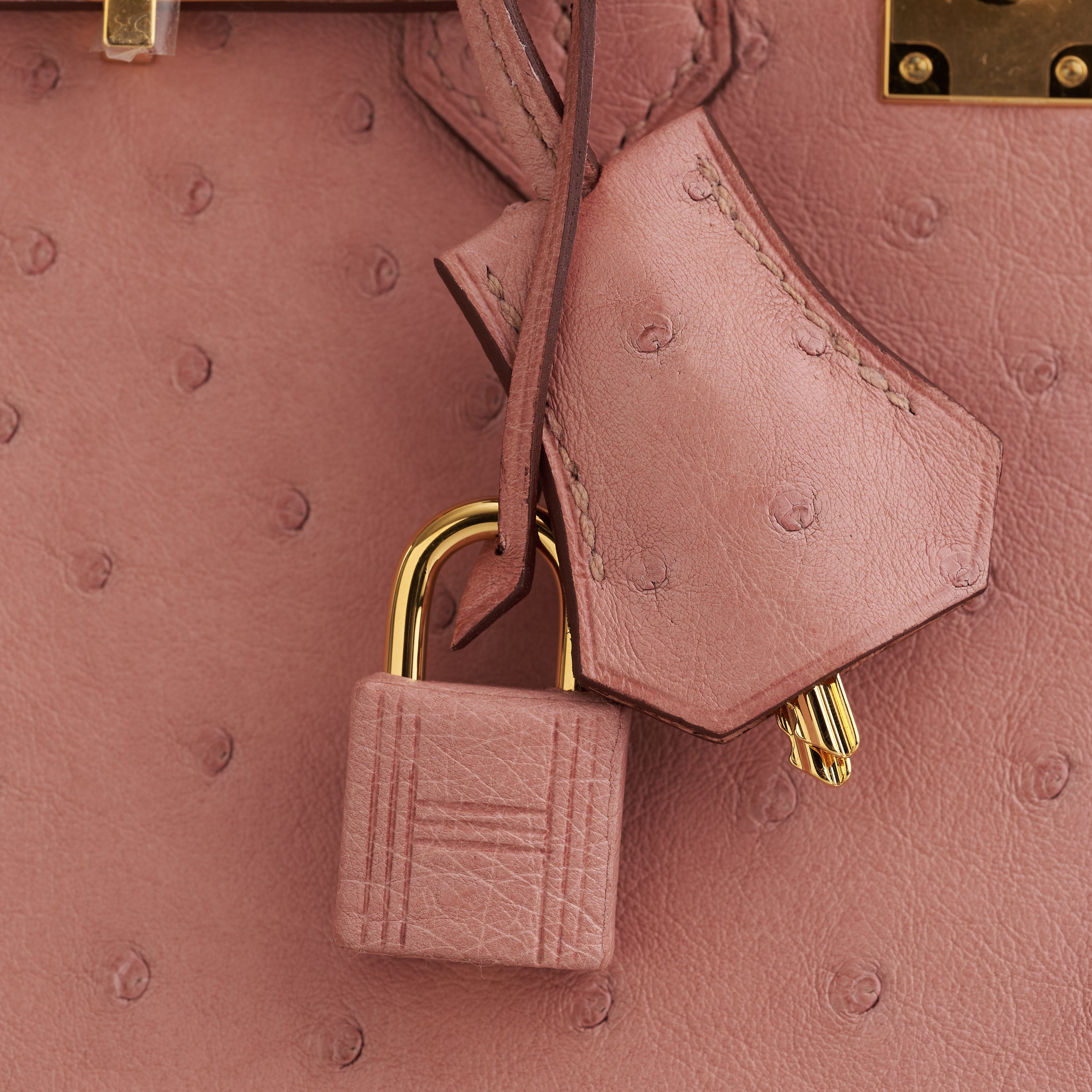 Hermès Birkin 25 Ostrich Terre Cuite Gold Hardware - eliteUSA 
