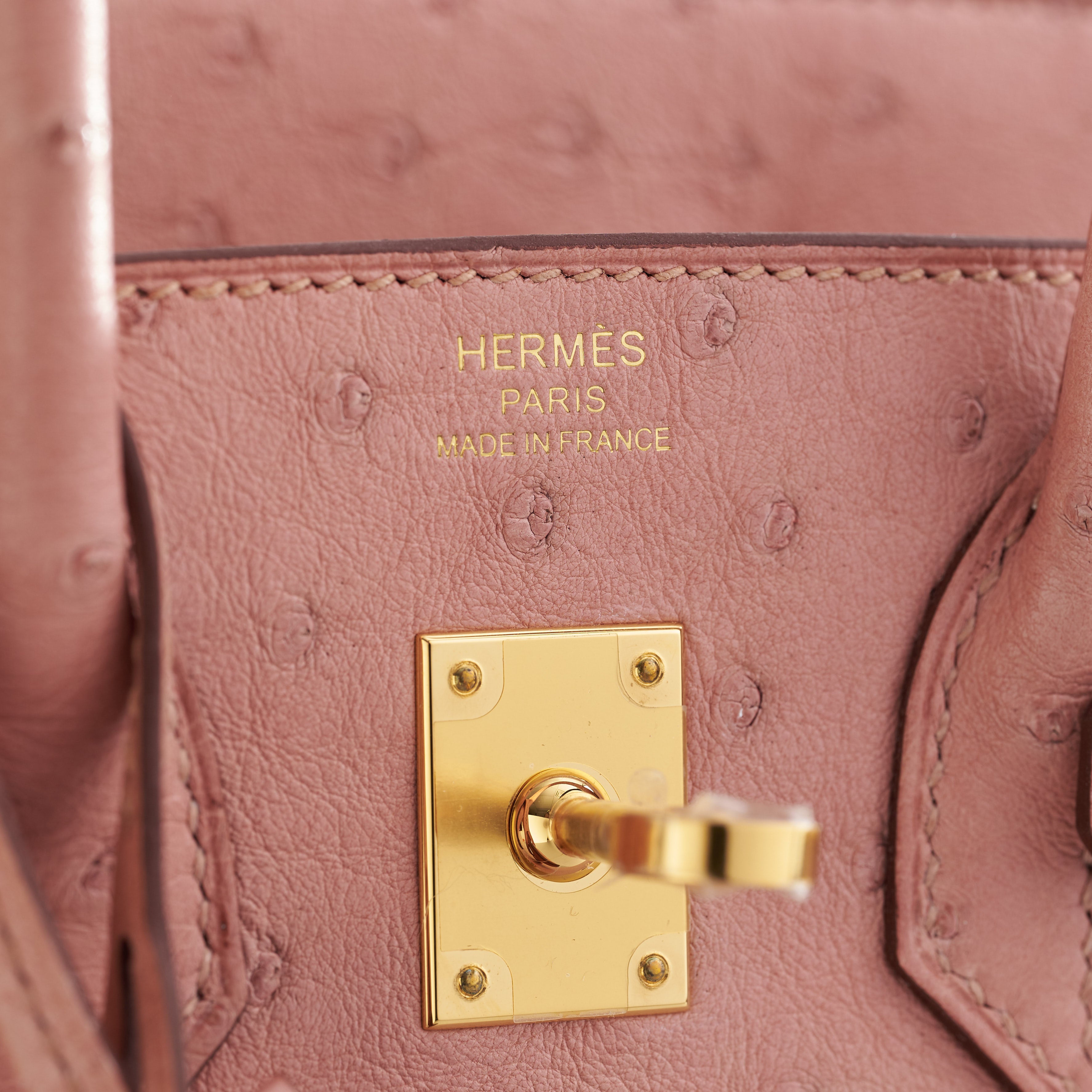 Hermès Birkin 25 Ostrich Terre Cuite Gold Hardware - eliteUSA 