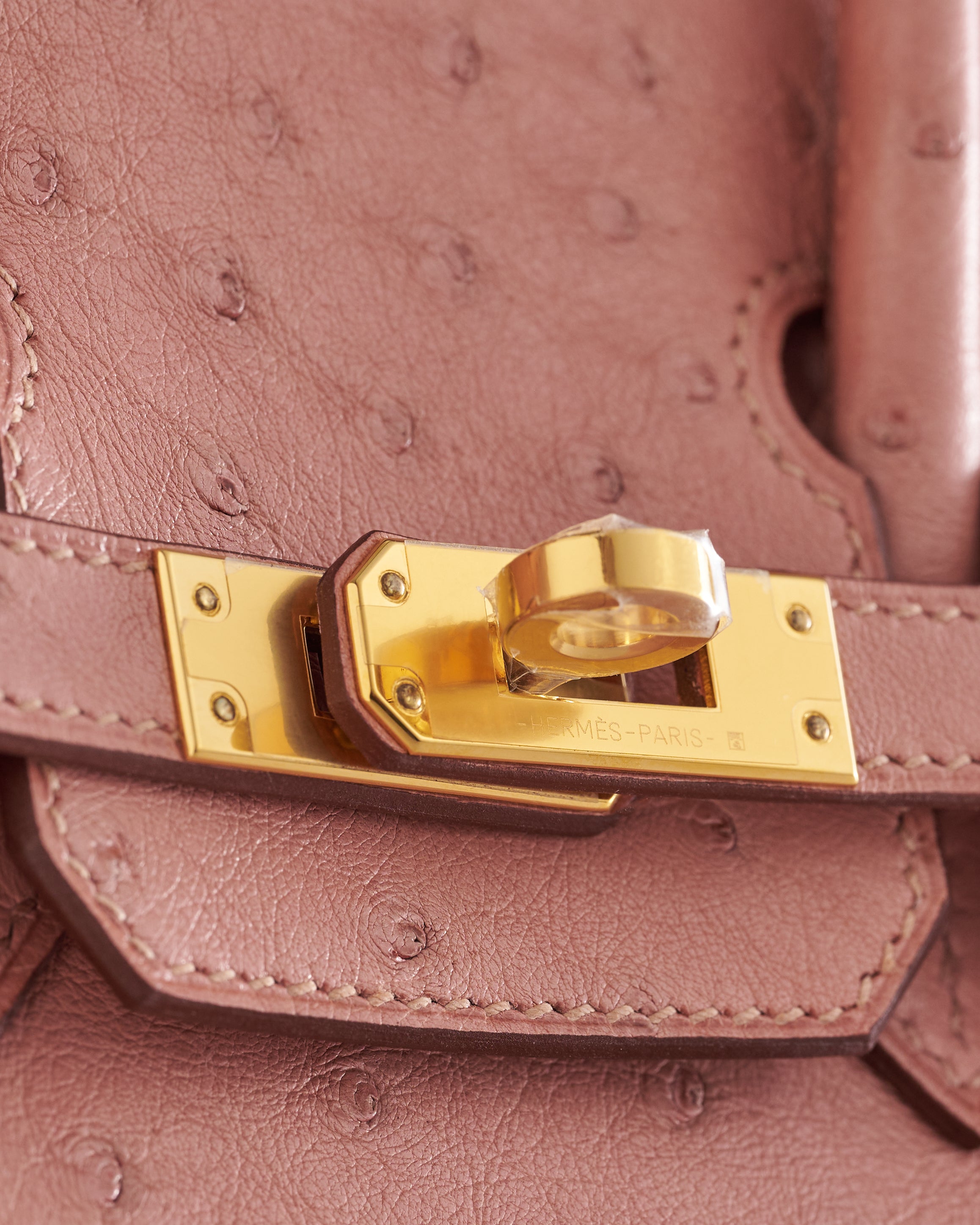 Hermès Birkin 25 Ostrich Terre Cuite Gold Hardware - eliteUSA 
