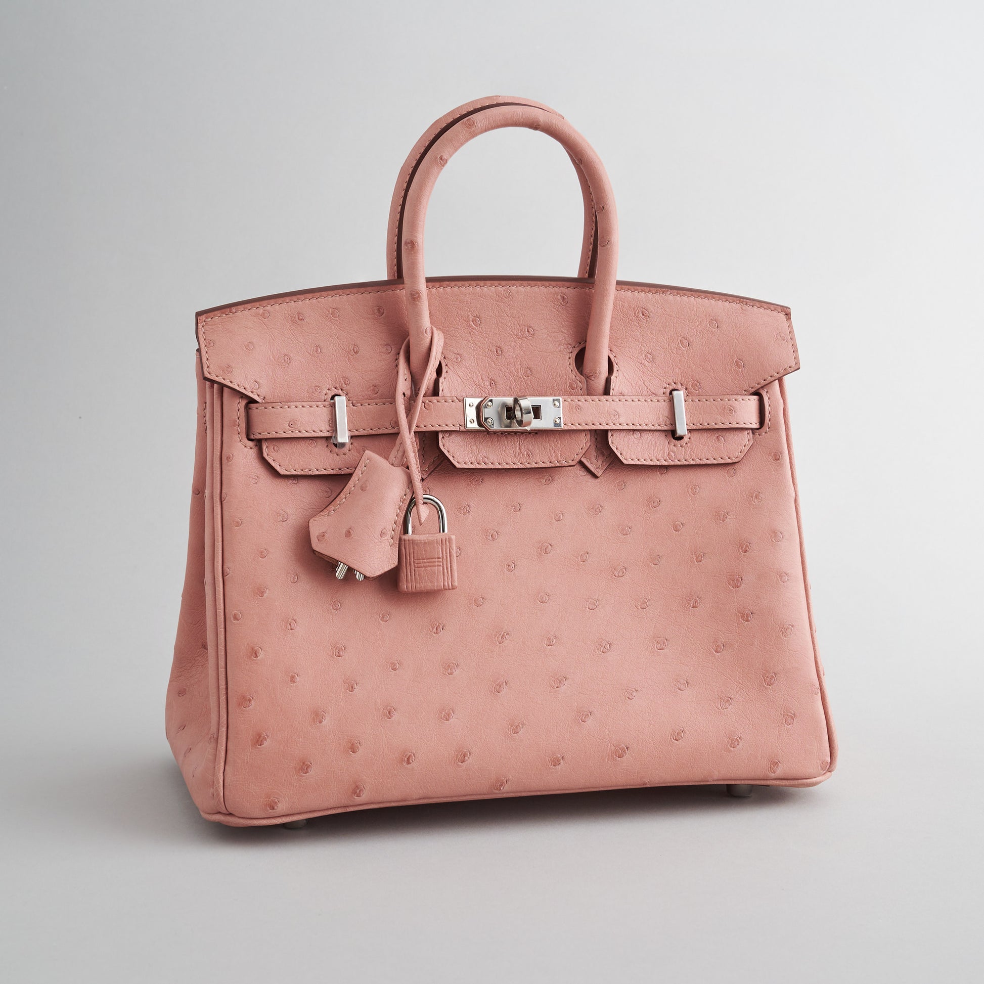 Hermès Birkin 25 Ostrich Terre Cuite Palladium Hardware eliteUSA
