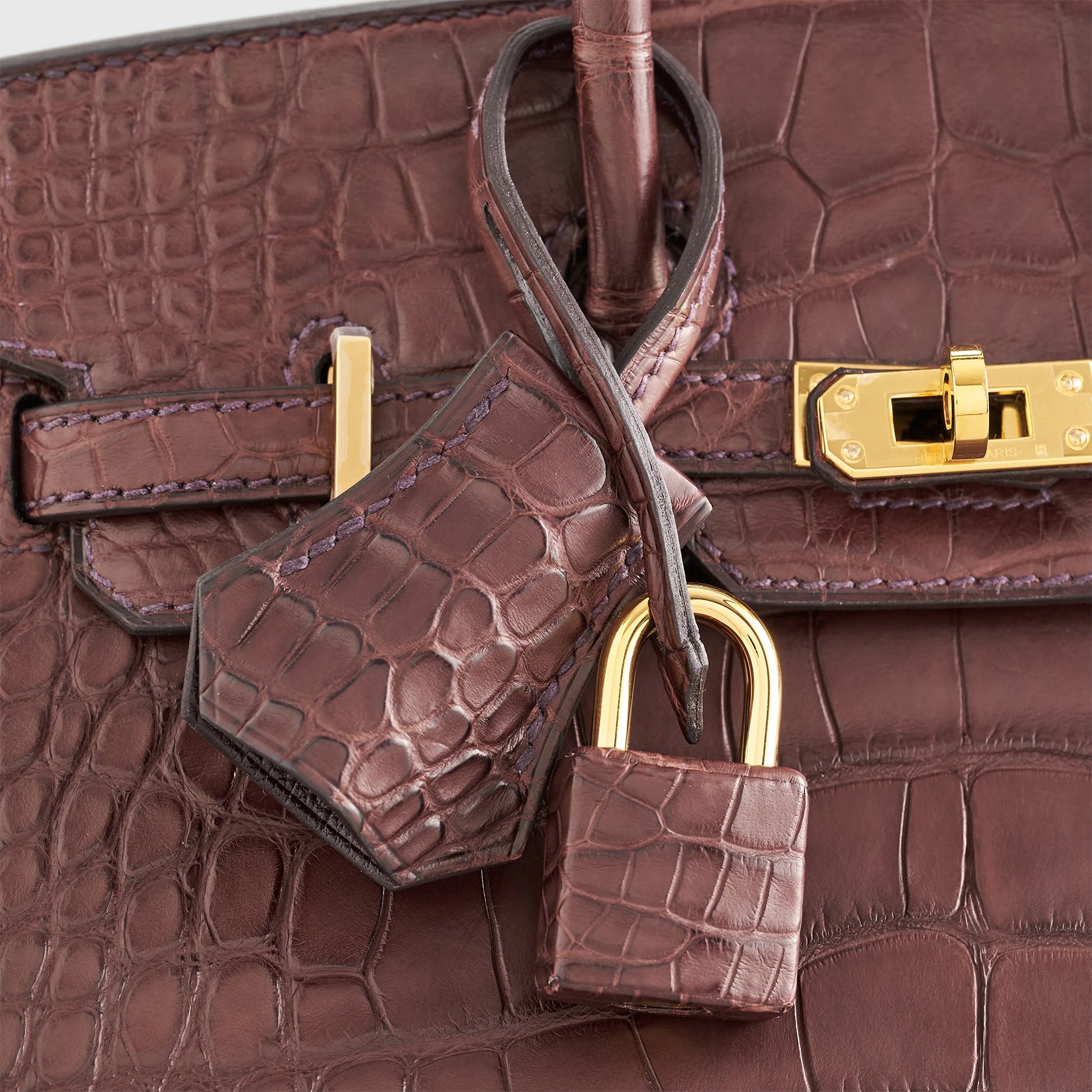 Hermès Birkin 20 Alligator Havane Gold Hardware Matte