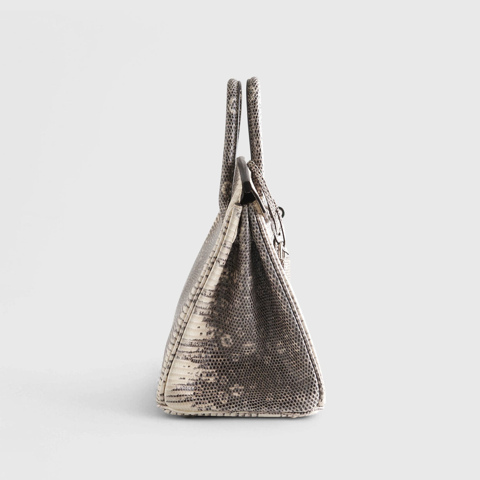 Hermès Birkin 25 Lizard Ombre Palladium Hardware