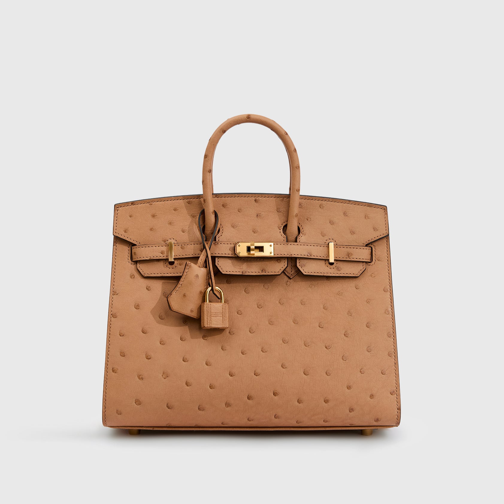 Hermès Birkin 25 Ostrich Chai Sellier Gold Hardware