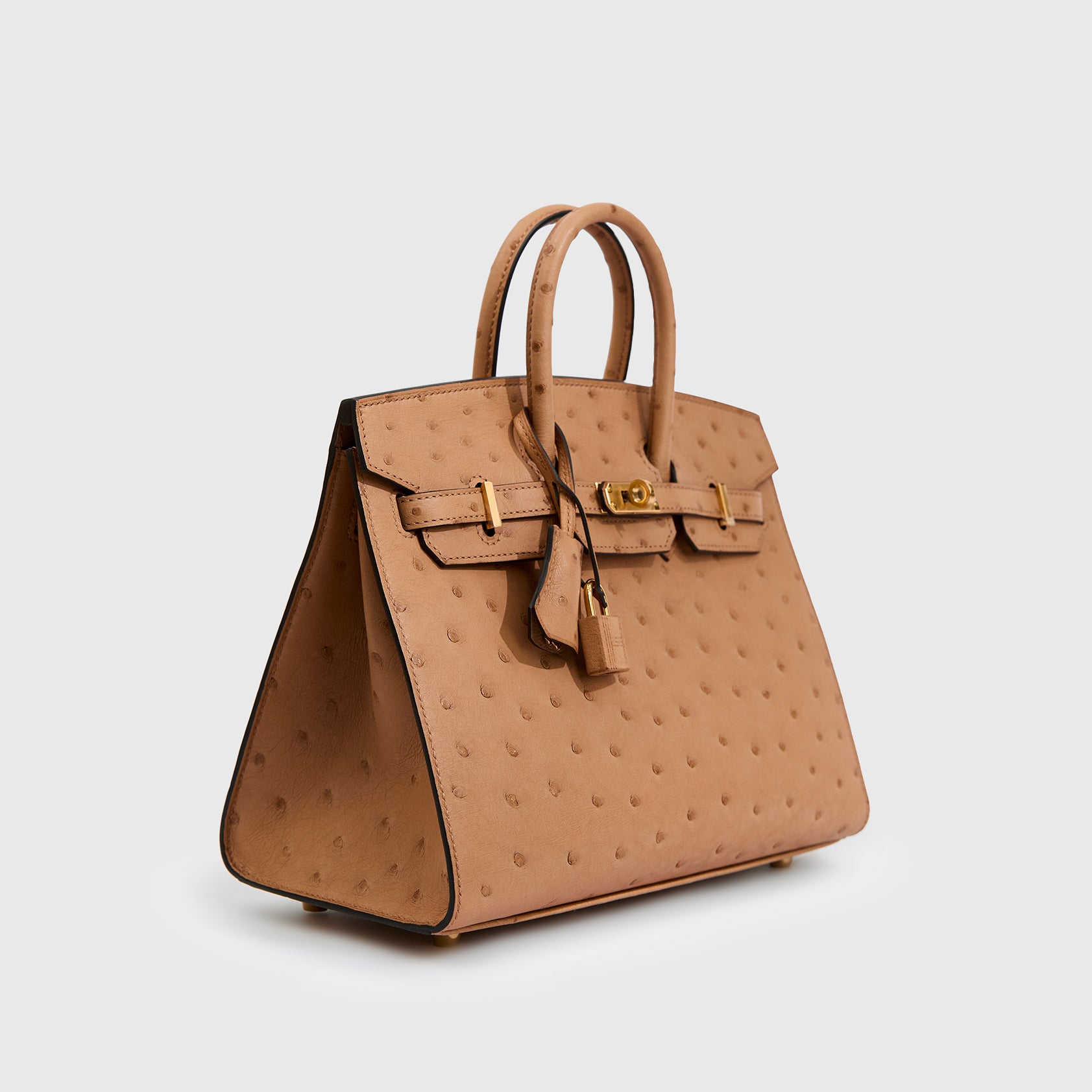 Hermès Birkin 25 Ostrich Chai Sellier Gold Hardware