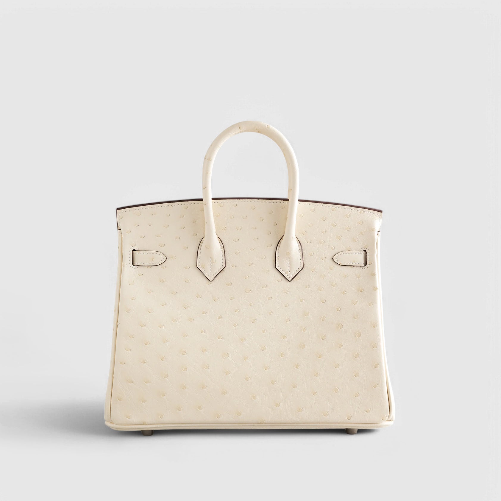 Hermès Birkin 25 Ostrich Nata Palladium Hardware