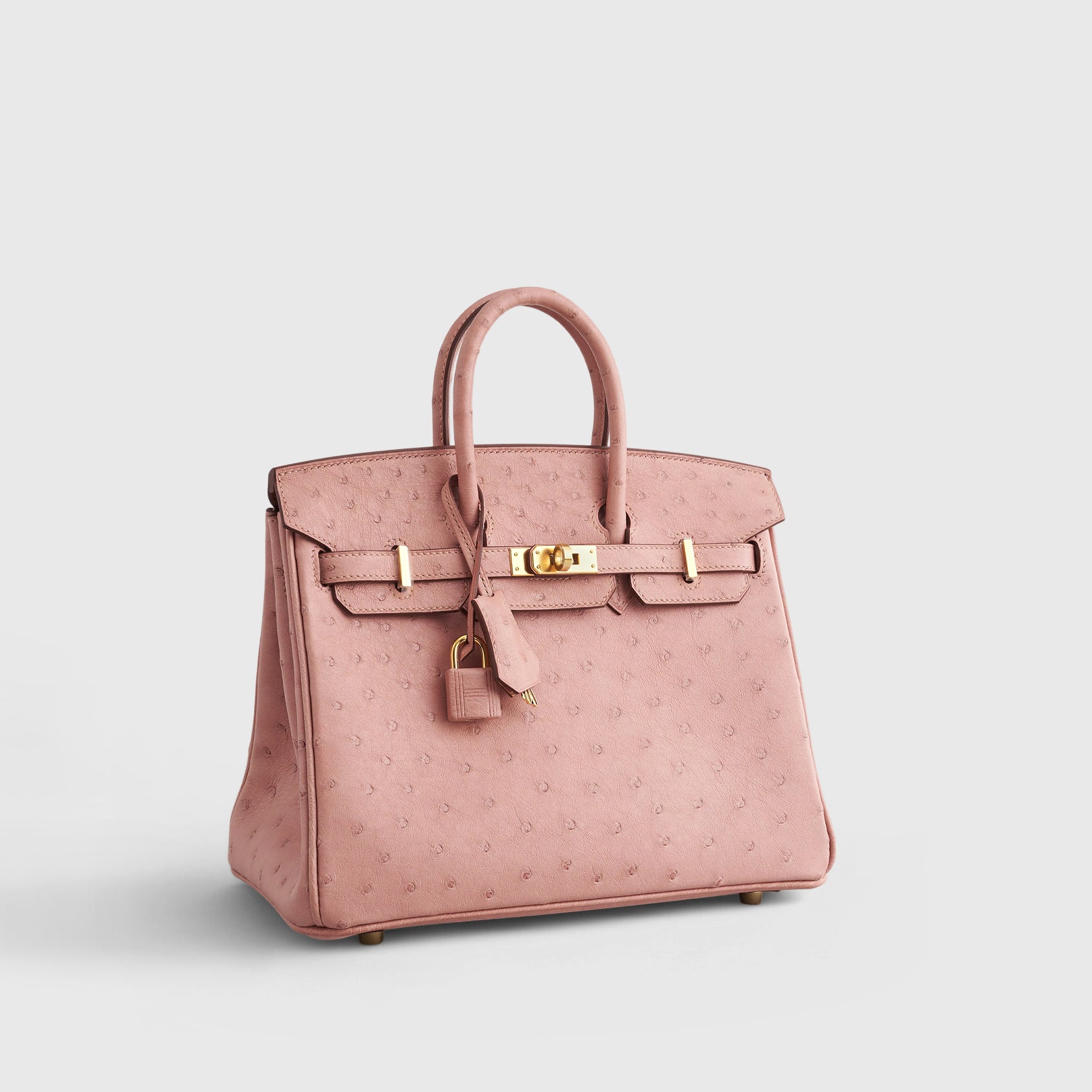 Hermès Birkin 25 Ostrich Terre Cuite Gold Hardware - eliteUSA 
